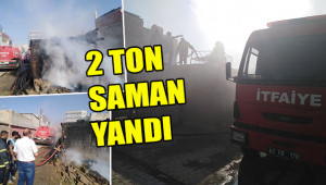 Suruç'ta çıkan yangın 1 saatte söndürüldü