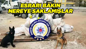 Urfa’da kilolarca esrar ele geçirildi