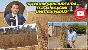 Urfa tarımına yeni alternatif!