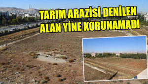 300 dönümden 44'ü sonunda betonlaşacak