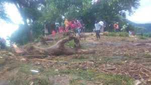 Kenya’da toprak kayması; 24 ölü