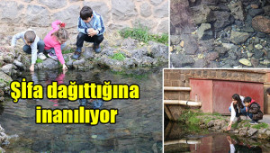 Anzele suyu ’Balıklıgöl’e döndü