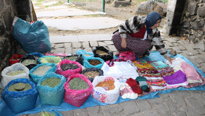 Dağda topladığı bitkilerle geçiniyor