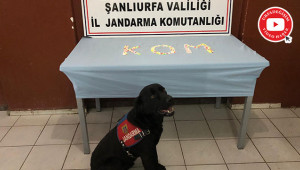 Evin bahçesinde uyuşturucu yakalandı