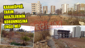 Gübre yerine beton bekleyen bahçeler