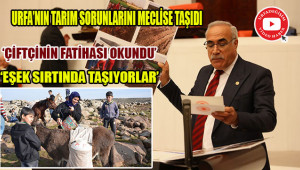 'İşte Urfa'ya verdiniz değer budur!'