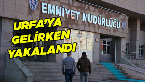 Kendi vatandaşlarını dolandırmaya kalktılar