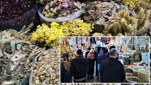 Mevsimsel hastalıkların ilacı ‘zencefil’