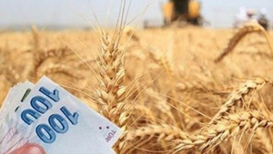 Üreticilere 425 milyon liralık destek