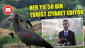 Çalışmalar sürüyor; Kelaynaklar artıyor