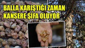 Fiyatı çeyrek altından daha fazla