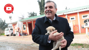 ‘Hayvan satın almayın sahiplenin!’