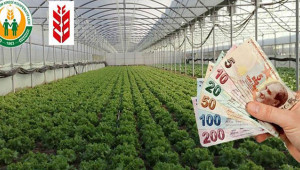 Tarımsal üretime yönelik işletmelere faiz indirimi