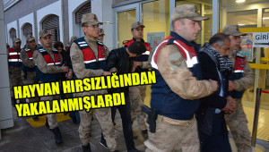 7 şüpheliden 4'ü tutuklandı