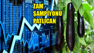 Ocak ayının kazandıranı borsa oldu!