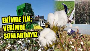 Urfa, pamukta kalite arayışında