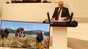 DEDAŞ ve DSİ çiftçinin ölüm fermanını yazıyor