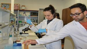 Koronaya karşı propolis