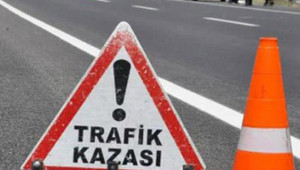 Otomobil ineğe çarptı: 2 yaralı