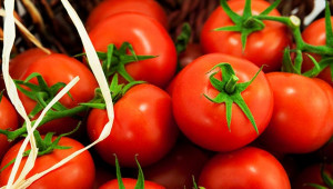 Türk domatesi Rusya vizesini kaptı