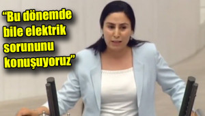 Urfa’nın elektrik sorunu bir türlü bitmiyor