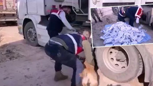 23 bin 917 paket gümrük kaçağı sigara ele geçirildi
