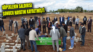 Davut Sana, toprağa verildi