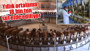 El değmeden üretilen süte rağbet
