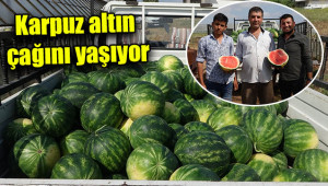 Karpuz üreticilerinin yüzü gülüyor