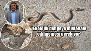 Profesörden yılanlardan korunma yöntemleri