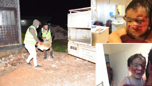Sokak köpekleri çocuklara saldırdı: 6 yaralı