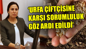 Sürücü, Şanlıurfa’ya neden hibe verilmediğini sordu
