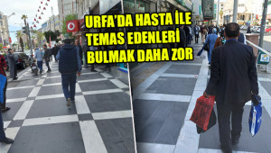 Urfa filyasyonda en düşük il konumunda