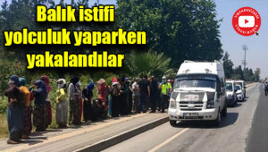 14 kişilik minibüsten 35 kişi çıktı