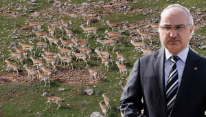 Ceylanlar, Şırnak ve Mardin’e gönderilecek
