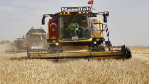 Hububat fiyatı üreticiyi sevindirdi