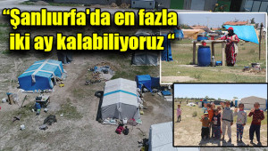 Tarım işçilerinin zorlu ekmek mücadelesi