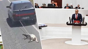 Vekil Aydınlık’tan Meclis Başkanı’na sitem