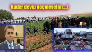 Ahmet Tüysüz'den düşündüren açıklama
