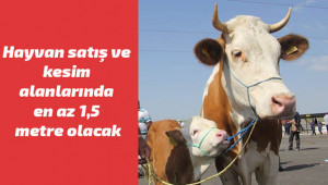 Kurban tedbirleri açıklandı