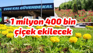 Mevsim çiçekleri ile peyzaj çalışması