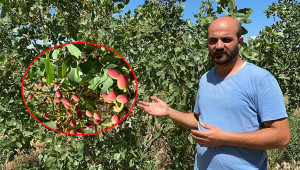 Urfa’da öğrendi, Iğdır’da yetiştirdi !