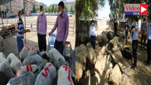 Bayram öncesi  tedbirler alındı