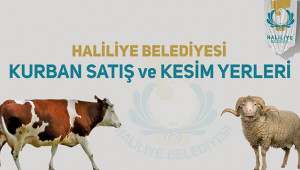 Haliliye’de kurban satış ve kesim yerleri açıklandı