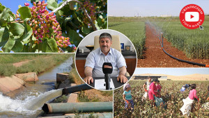 'Tarım kalkınmazsa Türkiye kalkınamaz'