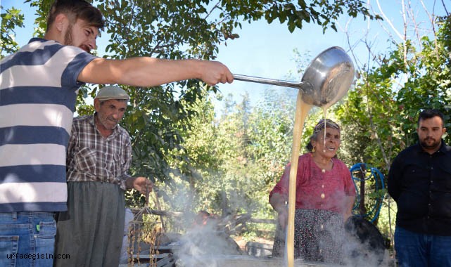 Halfeti'de bağ bozumu zamanı