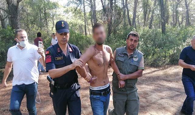 Ormanı yakarken suçüstü yakalandı