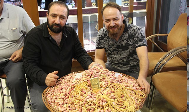 Rekolte düşünce Siirt fıstığı yükseldi
