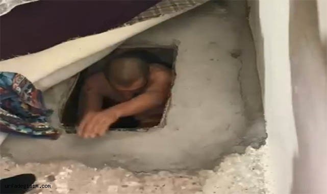Salona kazdığı çukurun içinde yakalandı