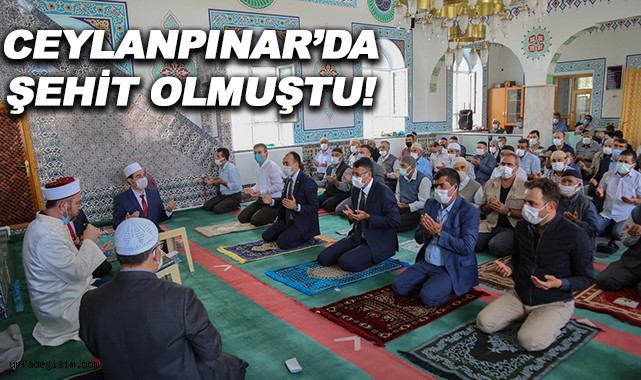 Şanlıurfa'da şehit olan Yel için mevlit okutuldu!